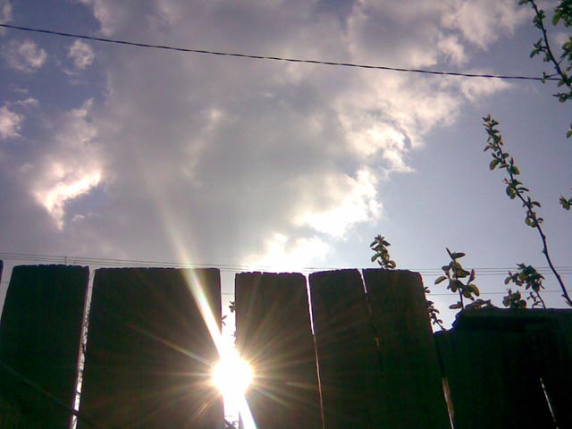 Солнце сквозь забор