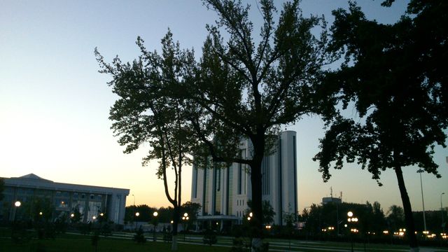Центр города - дерево и банк
