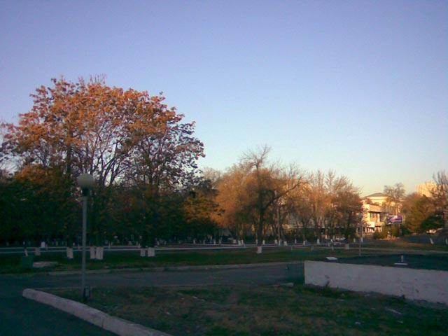 Парк утром