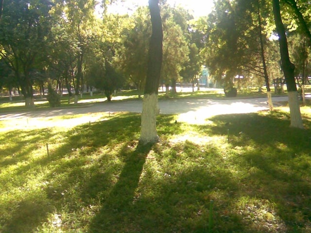 парк недалеко от дома