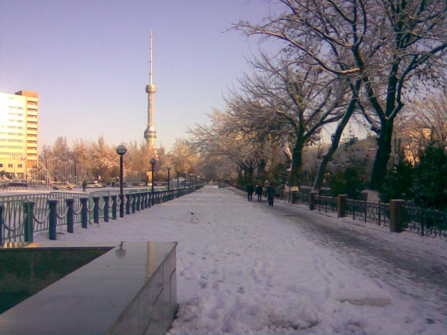 Аллея в городе